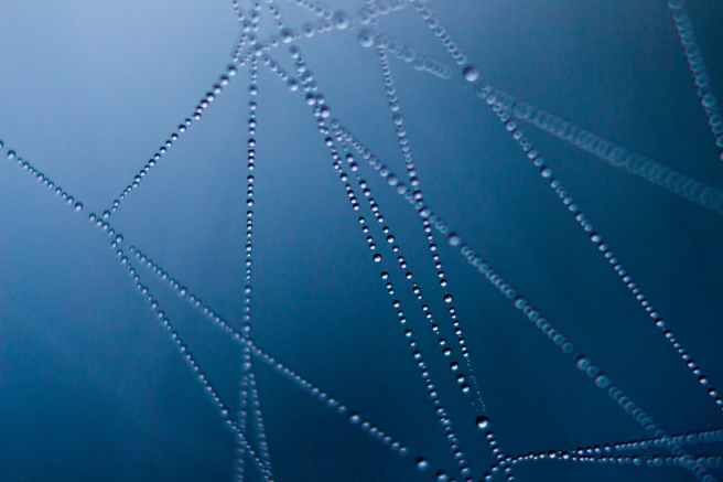 abstract art cobweb connection